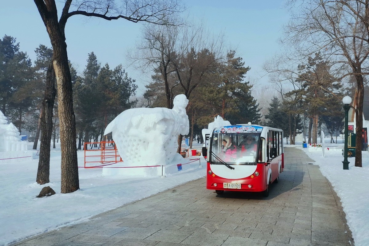 遊太阳岛雪博会---大年初一      8。