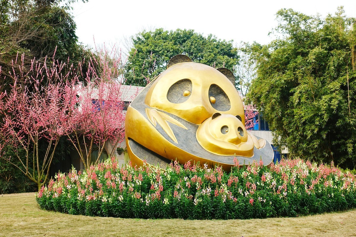 春日的熊猫基地