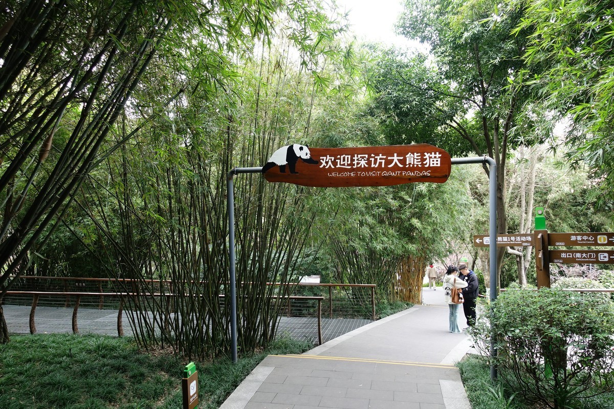 春日的熊猫基地