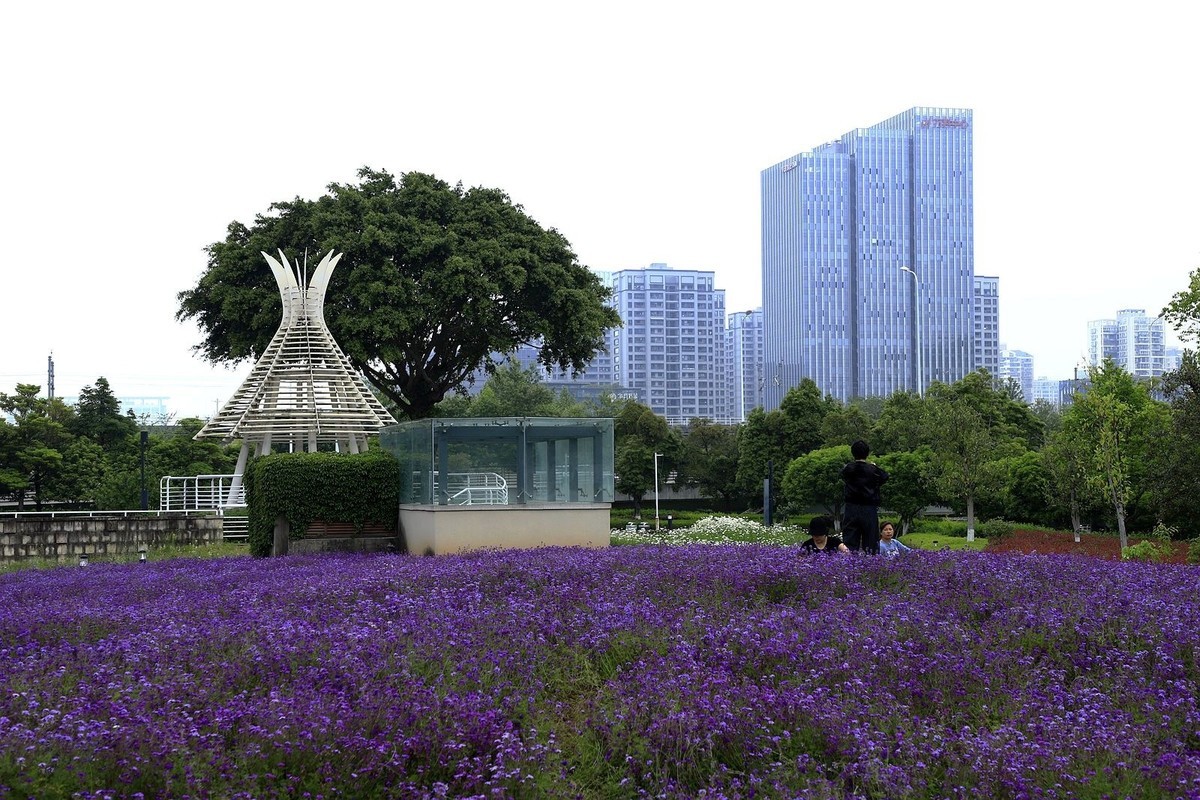 世纪公园 (2)