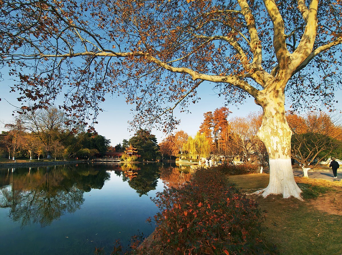 武汉青山公园31