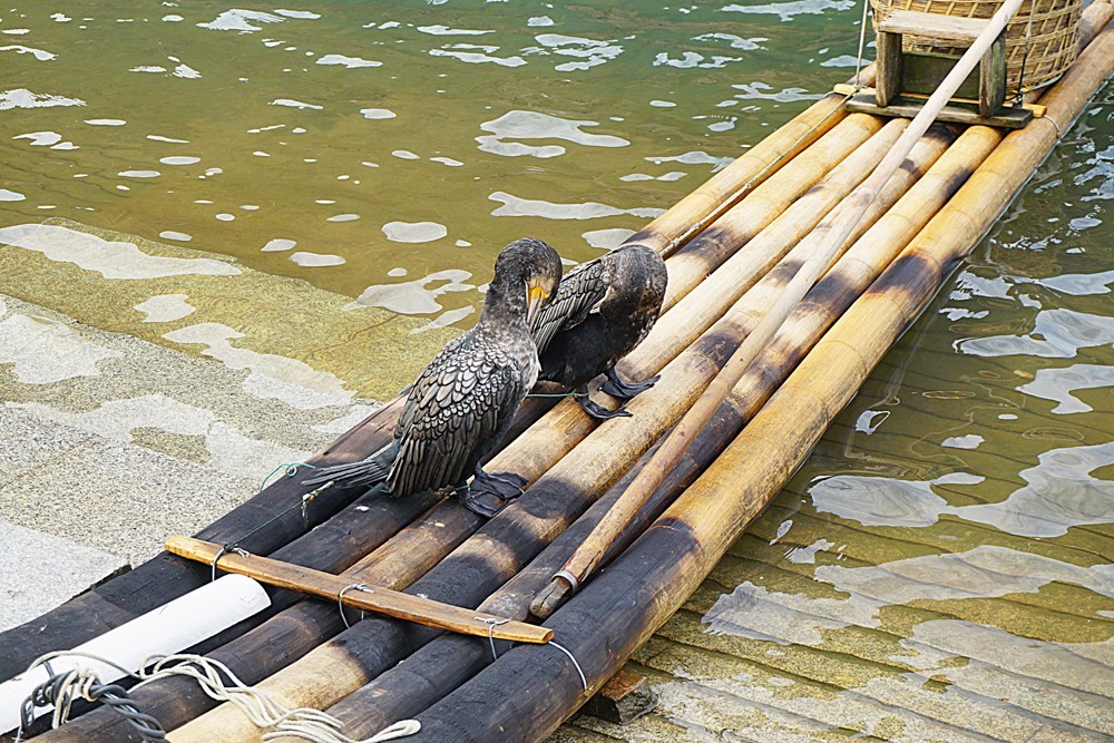 龙虎山景区  桃花洲（一）