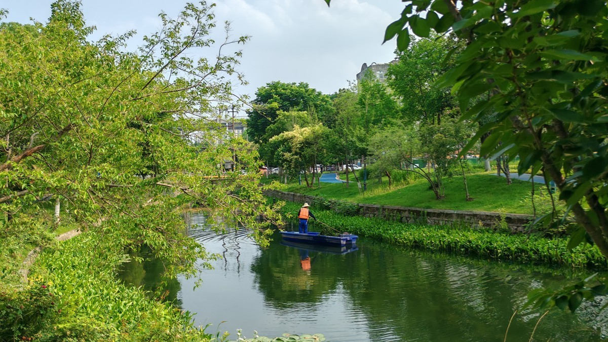 公园夏景(续3)-中关村在线摄影论坛
