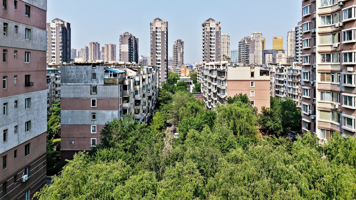 沈阳