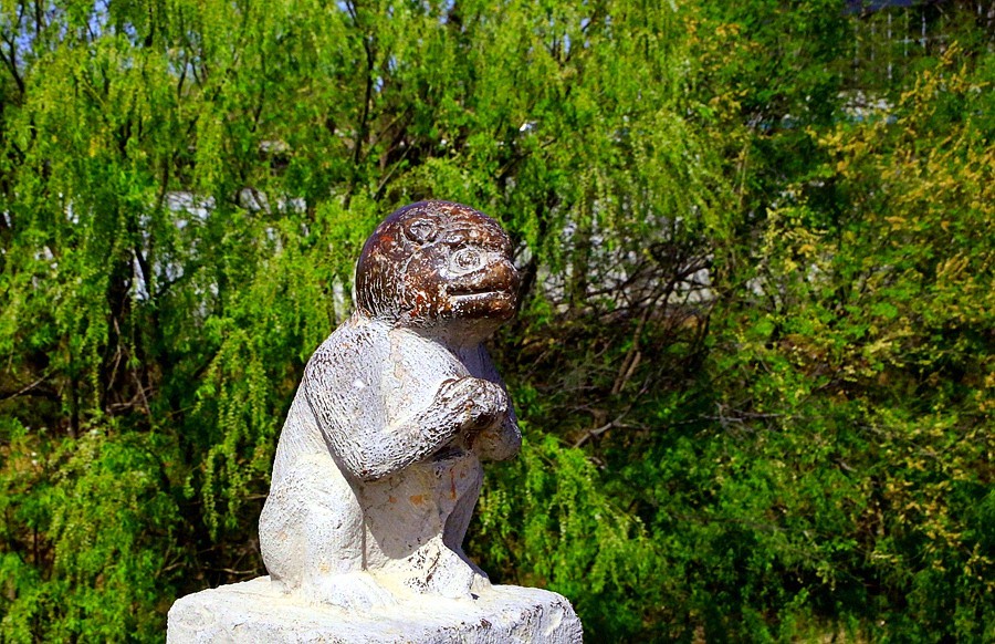 《不老松：纪实摄影》河北省沧州市献县：单（善音）桥！ (4)