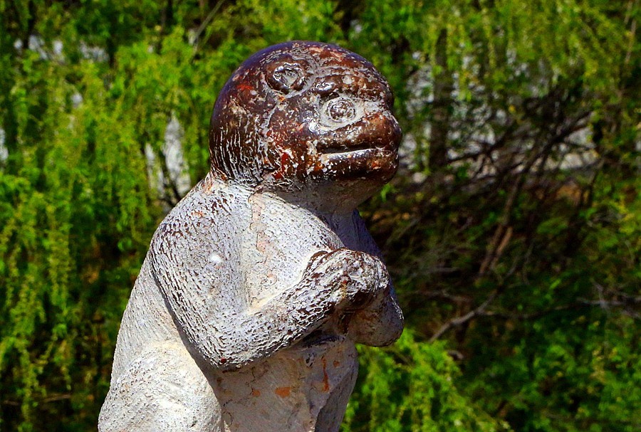 《不老松：纪实摄影》河北省沧州市献县：单（善音）桥！ (4)