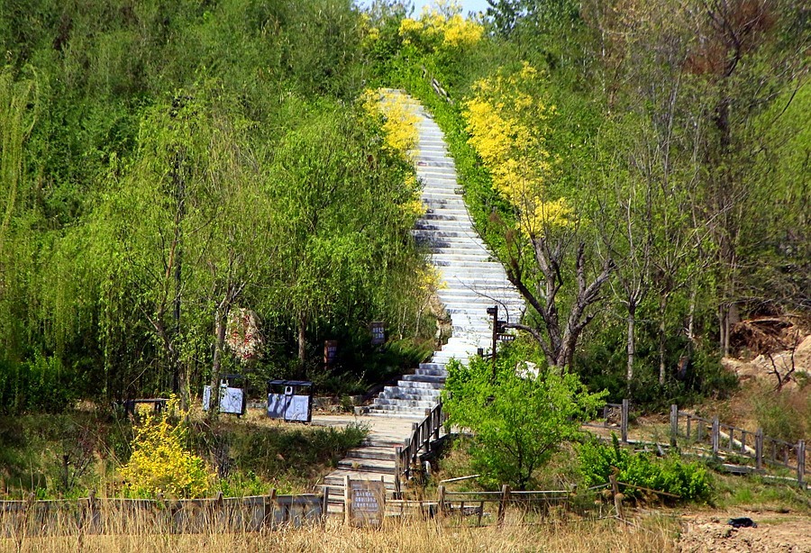 《不老松：纪实摄影》河北省沧州市献县单（善音）桥！ (5)