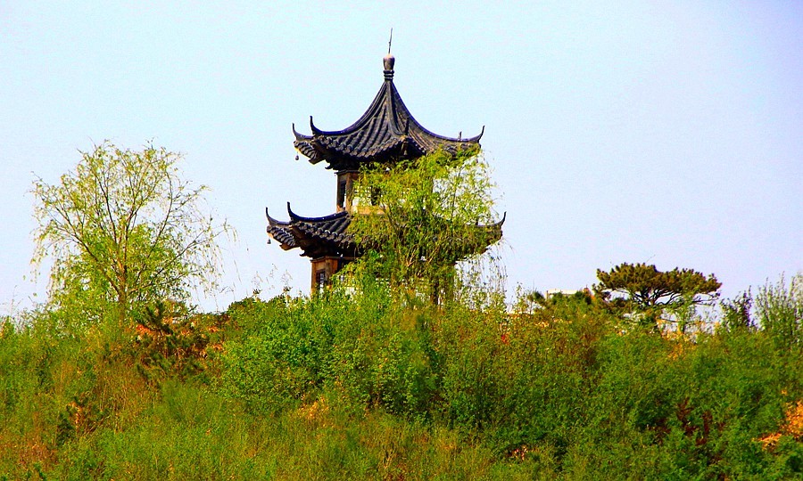 《不老松：纪实摄影》河北省沧州市献县单（善音）桥！ (5)