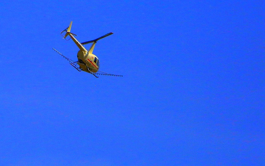 《不老松：纪实摄影》河北省沧州市献县单（善音）桥！ (5)