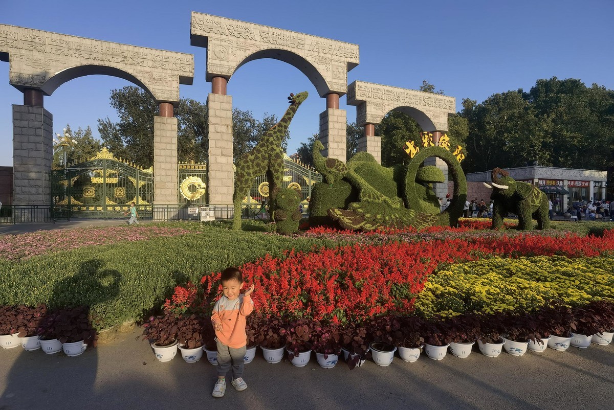 庆国庆祝福祖国9【2022-0764】