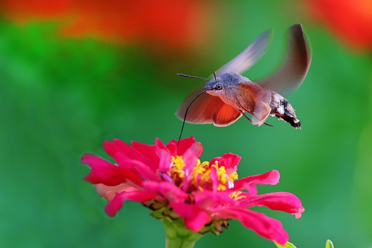 奇妙的果冻效应（R7+RF100~500）