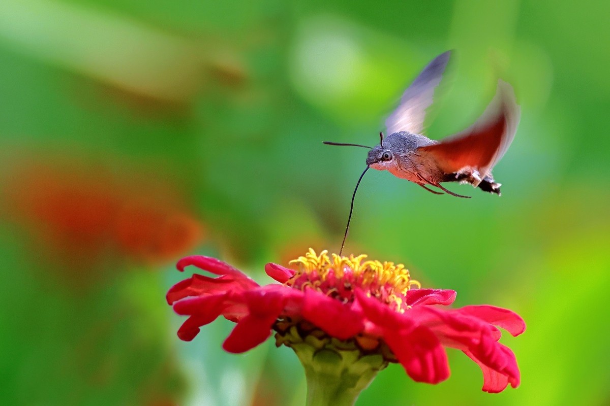 奇妙的果冻效应（R7+RF100~500）