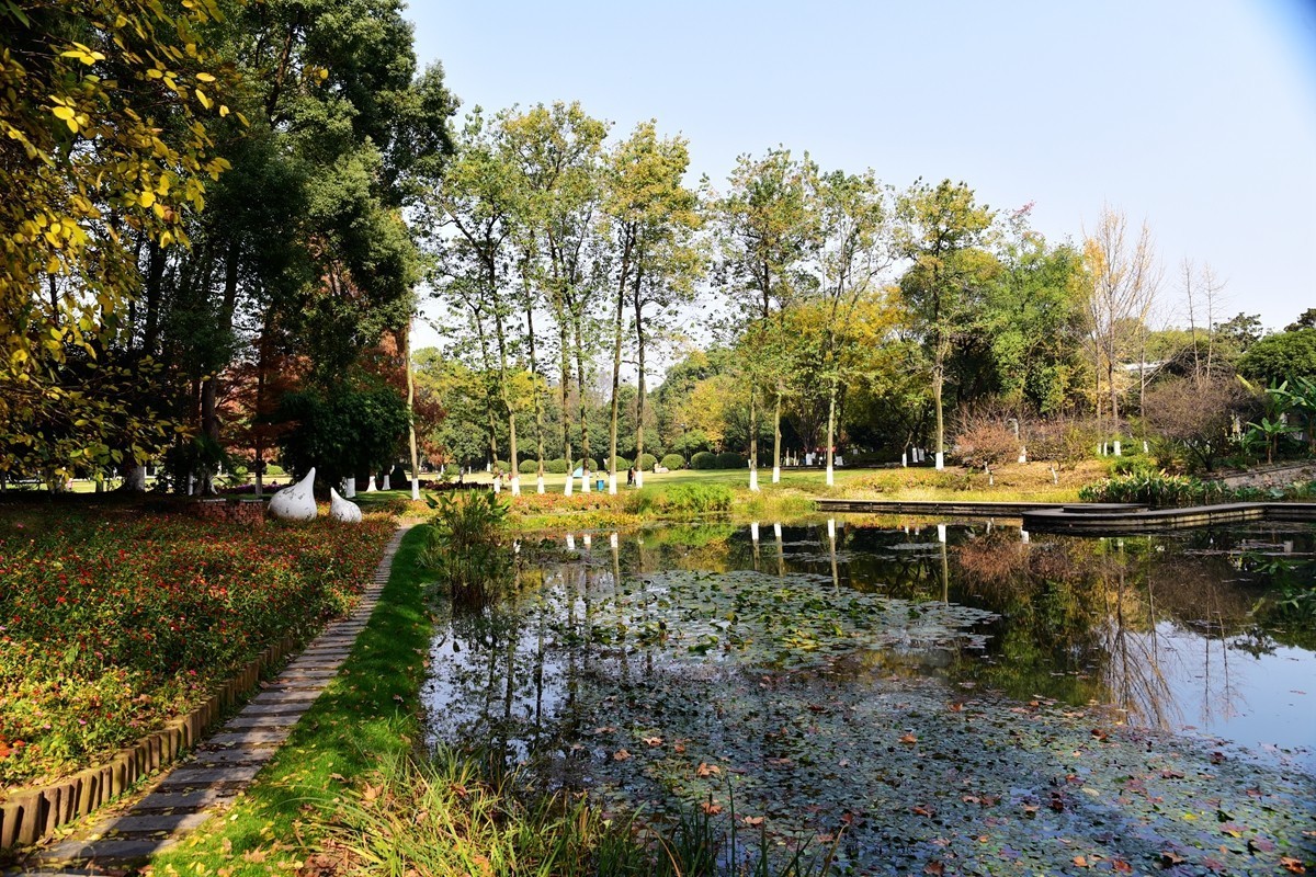 深秋漫步1*武汉植物园