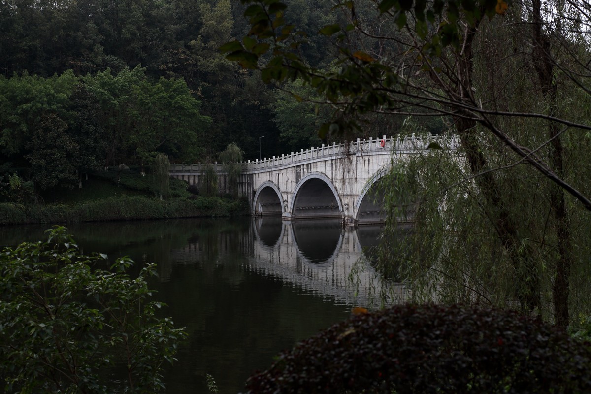 海尔标头拍菊展（与太苦玛标头比较一下）