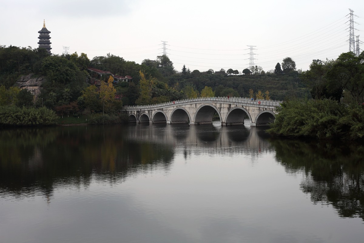 海尔标头拍菊展（与太苦玛标头比较一下）