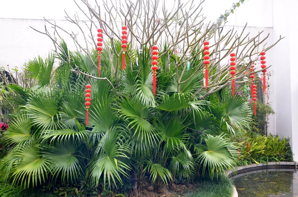 海南 万宁兴隆巧克力小镇(二)