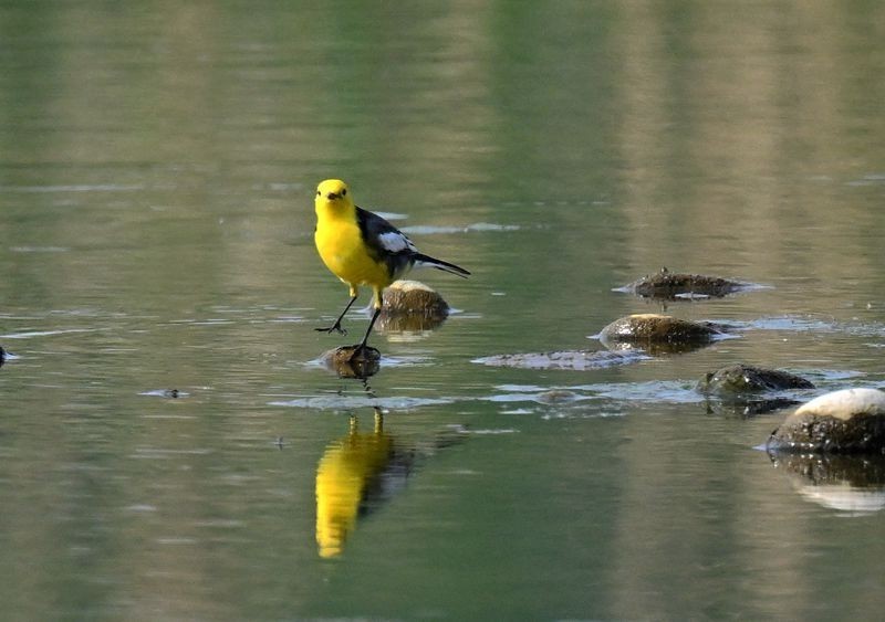 新人报到，敬请各位版主及各位老师关顾、指导。