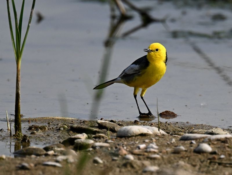 新人报到，敬请各位版主及各位老师关顾、指导。