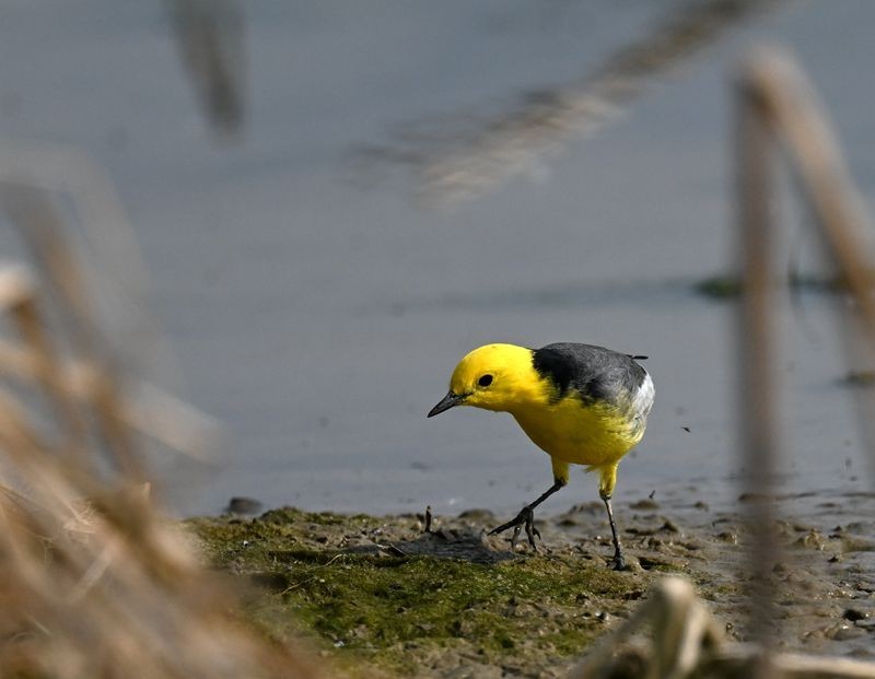 新人报到，敬请各位版主及各位老师关顾、指导。
