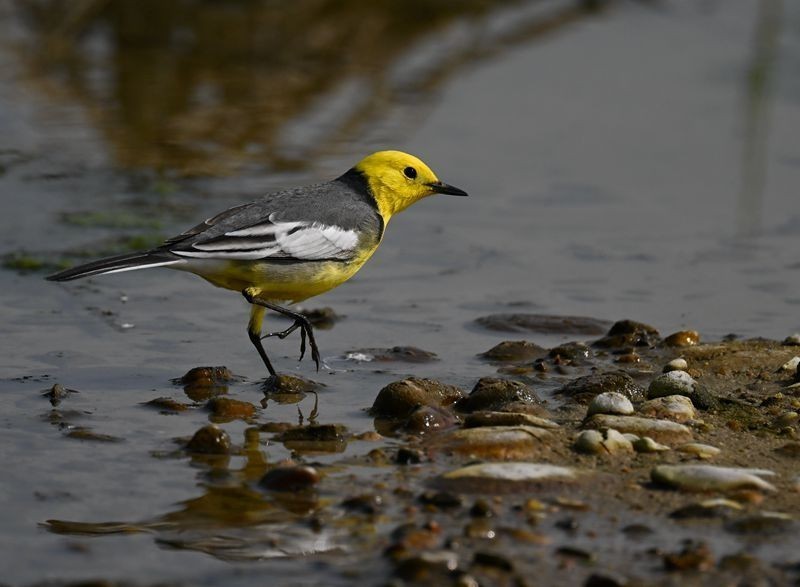 新人报到，敬请各位版主及各位老师关顾、指导。