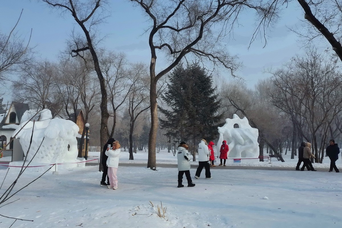 遊太阳岛雪博会---大年初一      8。
