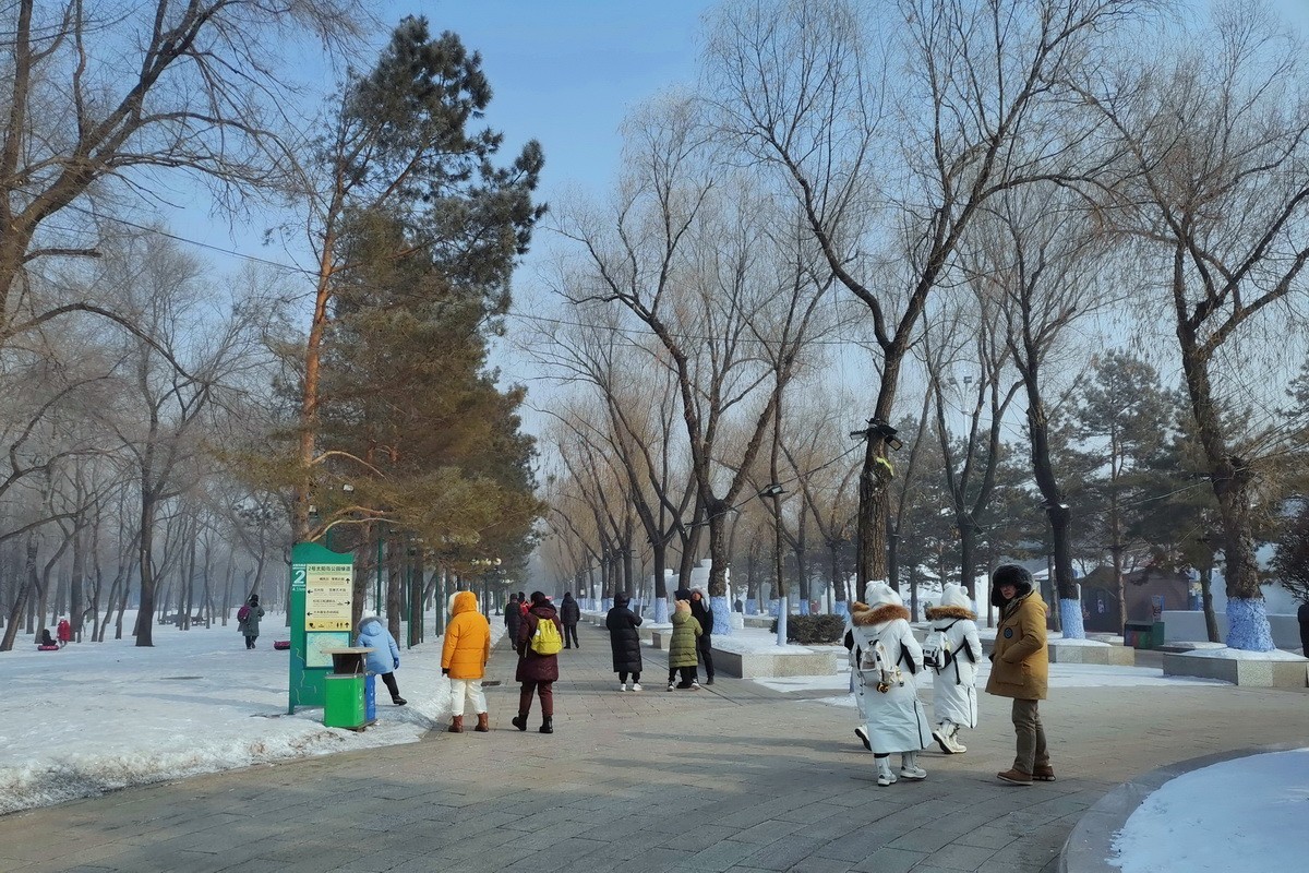遊太阳岛雪博会---大年初一      8。