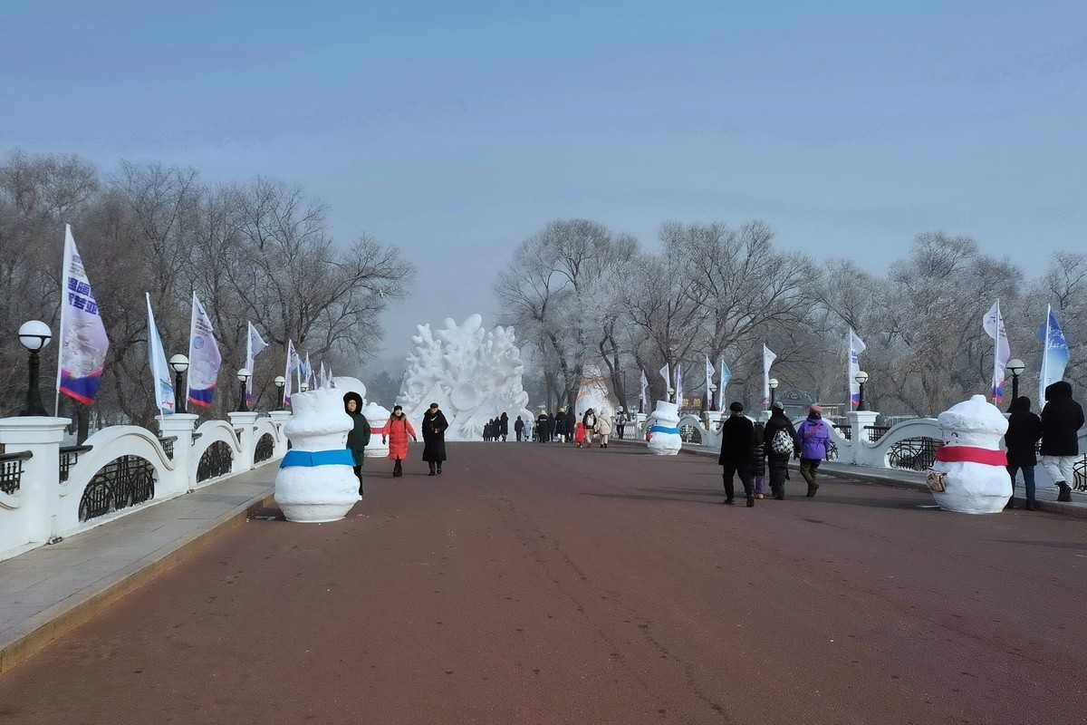 遊太阳岛雪博会---大年初一      8。