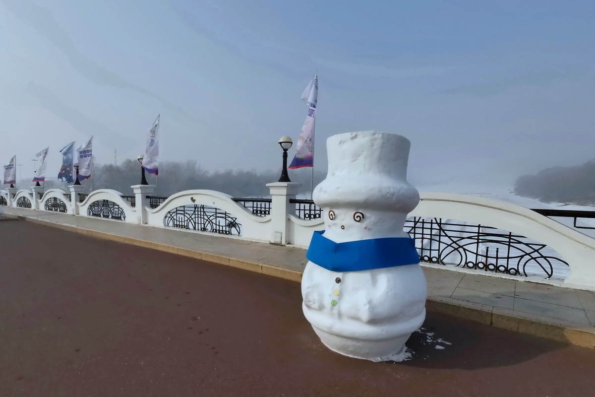 遊太阳岛雪博会---大年初一      8。