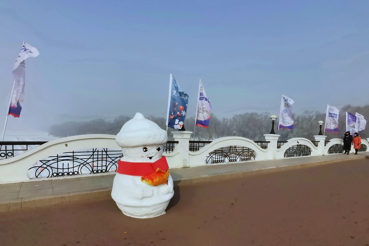 遊太阳岛雪博会---大年初一      8。