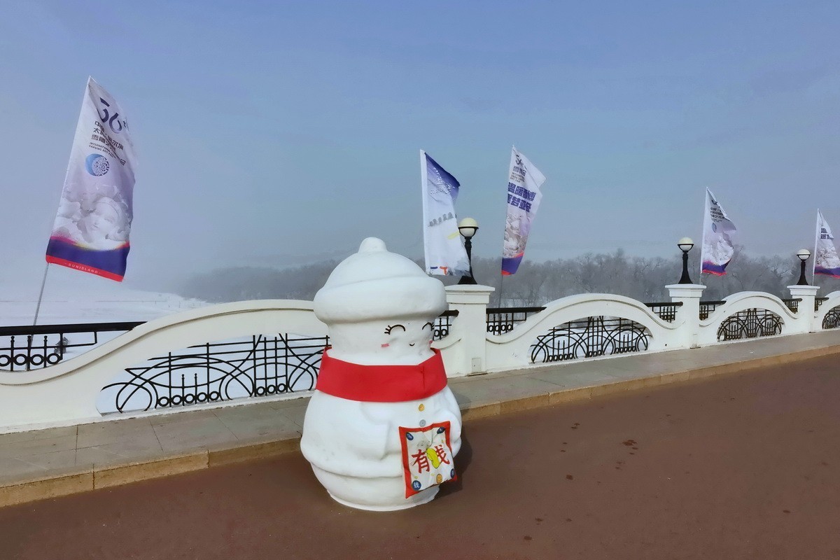 遊太阳岛雪博会---大年初一      8。