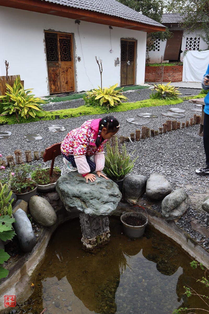 家人随拍——农家乐（1）