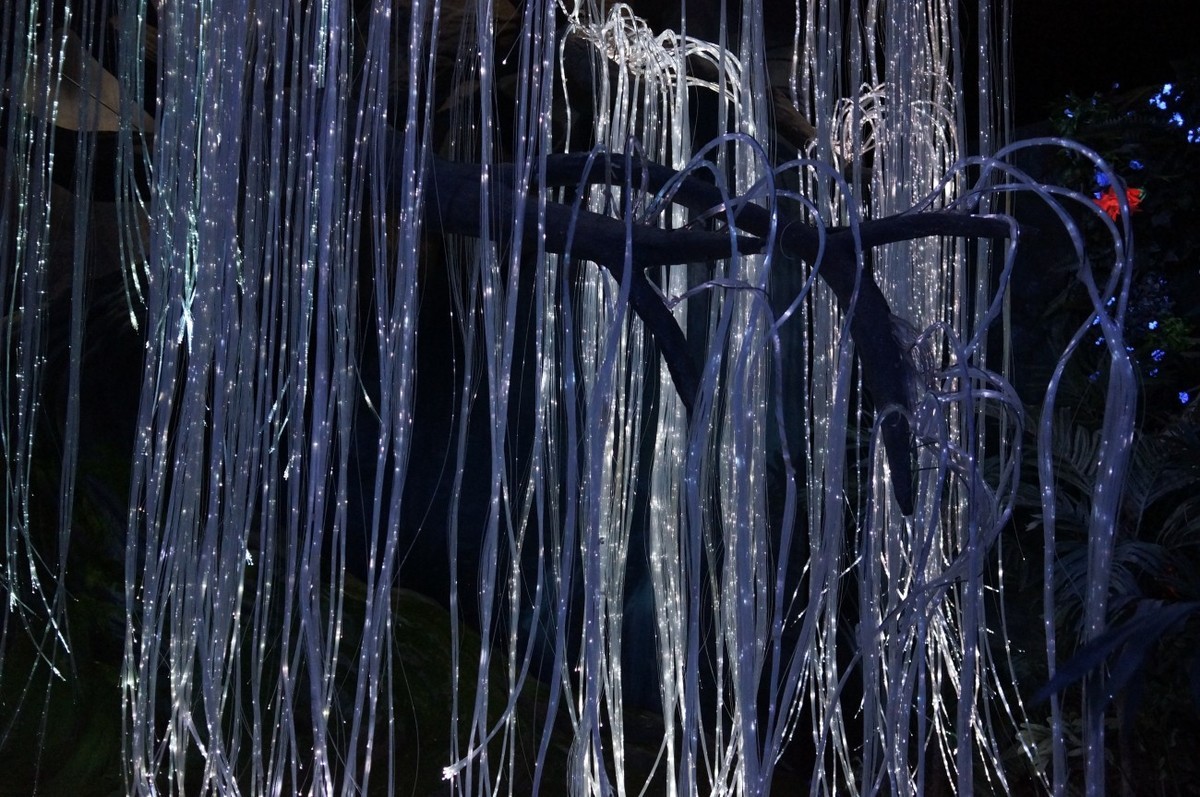 让奇妙延续：阿凡达探秘潘多拉