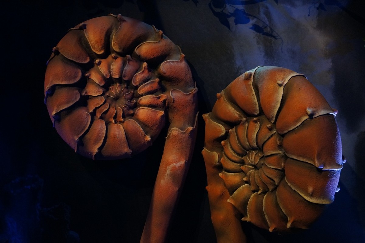 让奇妙延续：阿凡达探秘潘多拉