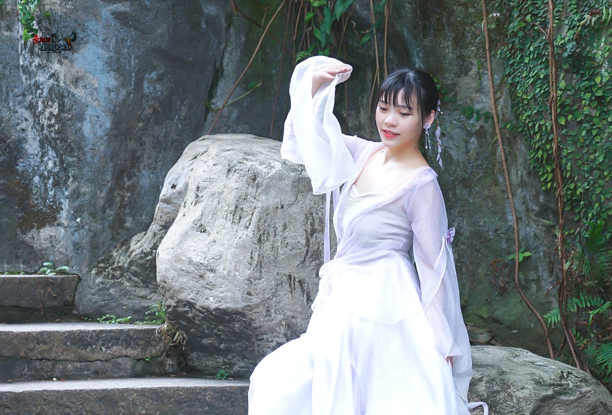 【舞蝶寻花】---隹佳