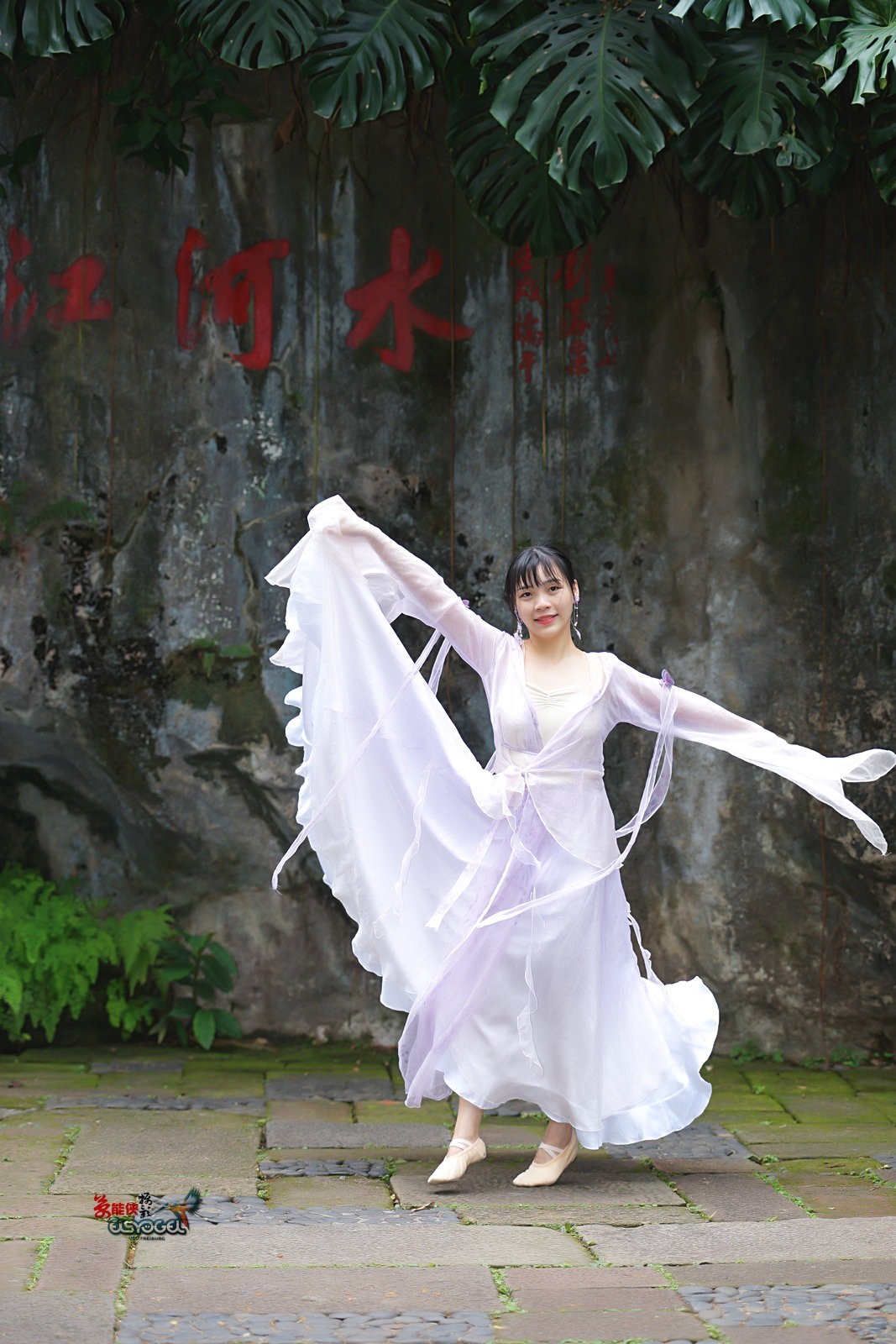 【舞蝶寻花】---隹佳