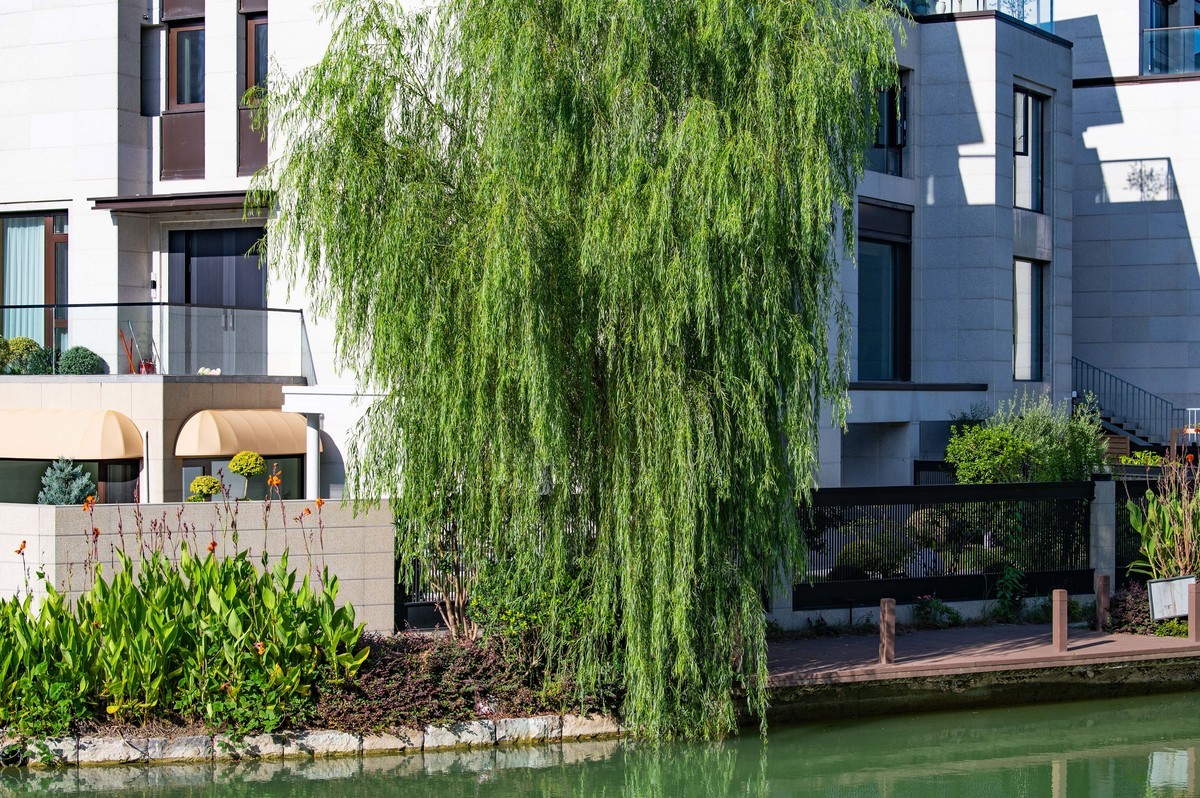 庐州印象（296）塘溪津门水街