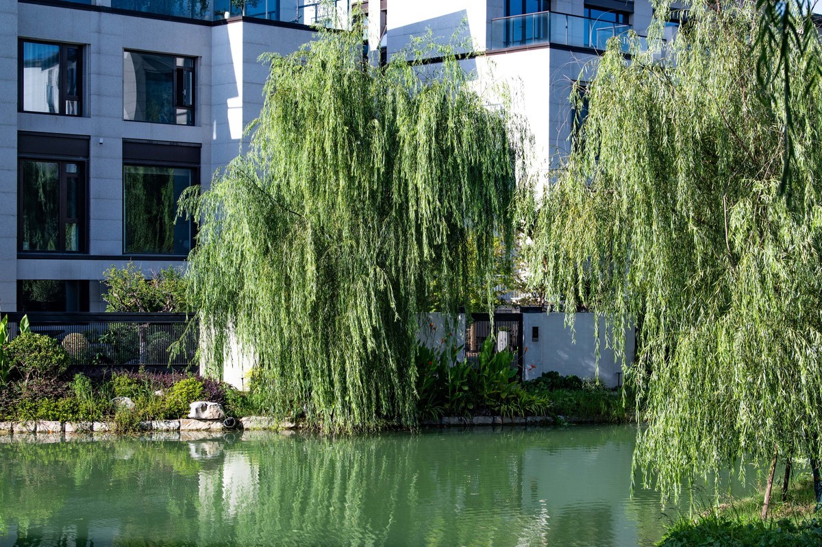 庐州印象（296）塘溪津门水街