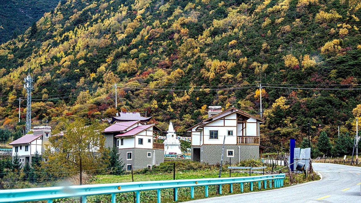秋行川西高原沿线风光【4】
