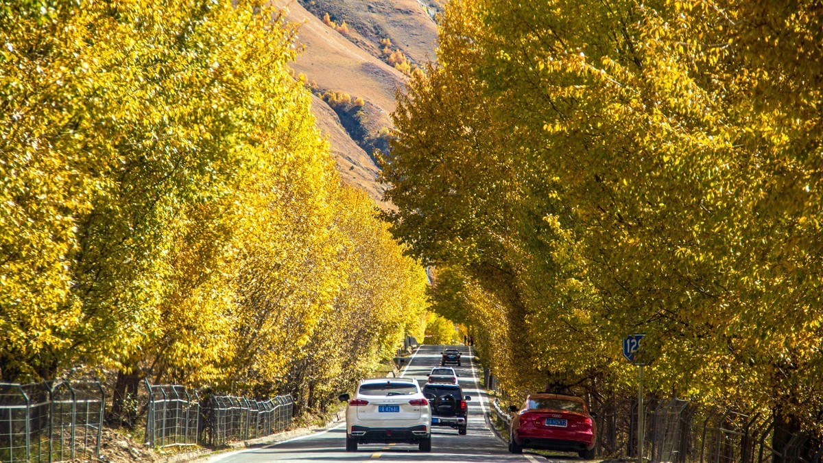 秋行川西高原沿线风光【4】