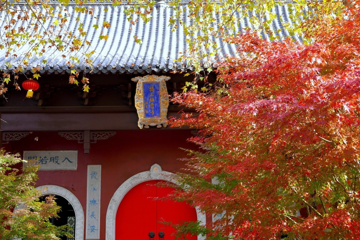 栖霞山赏红风