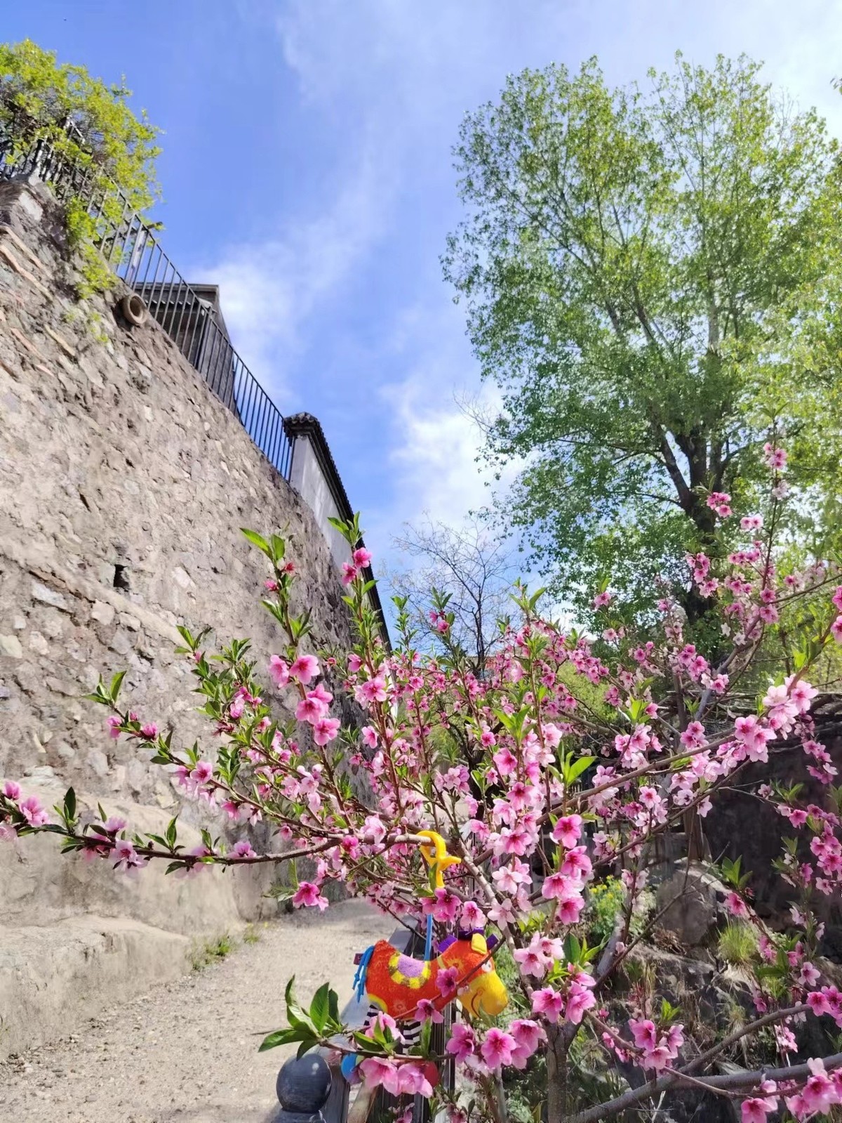 荣耀X50，一亿像素