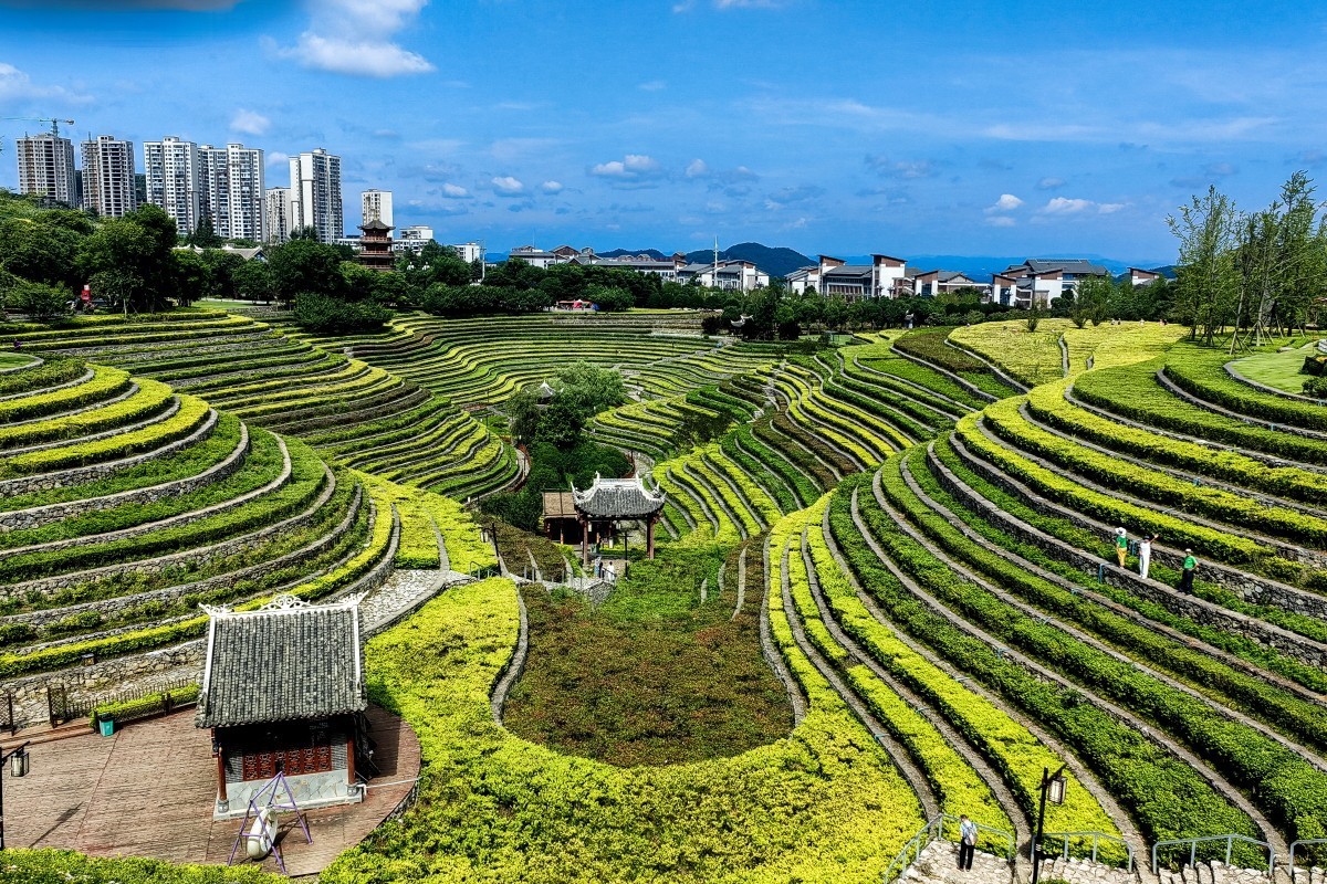 外出随拍（续148）.