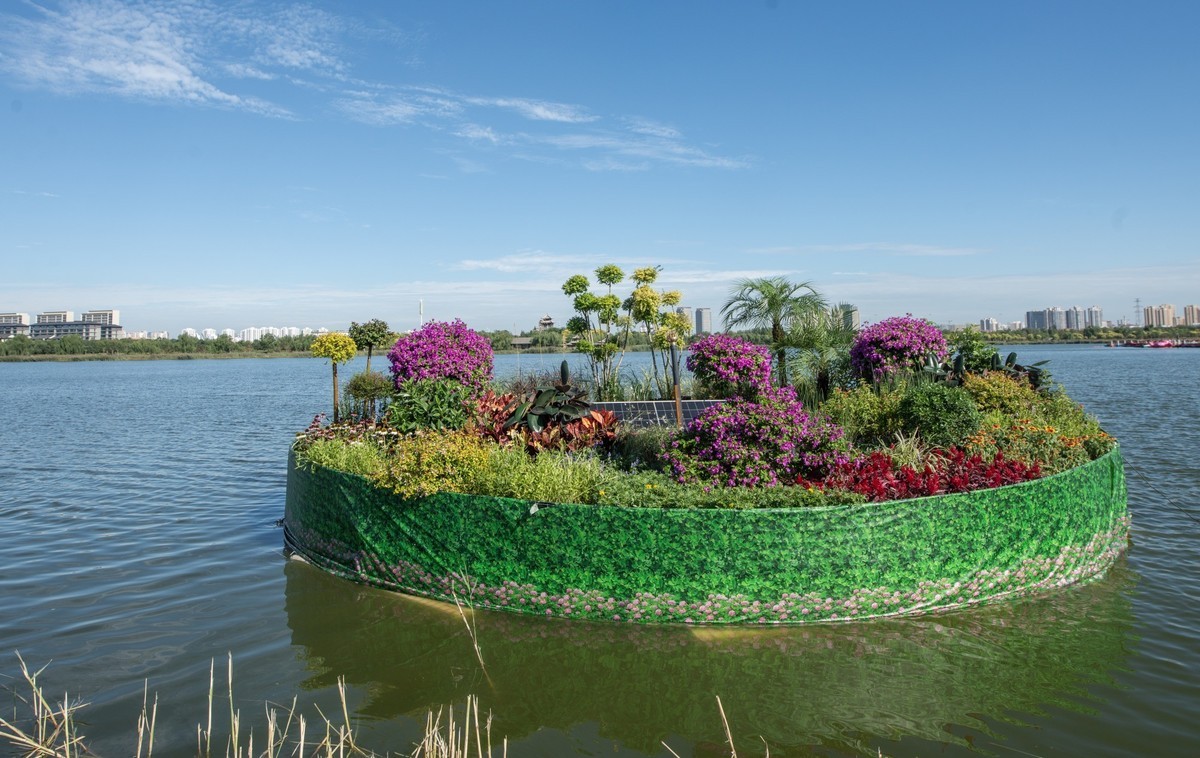 秋日水西公园掠影