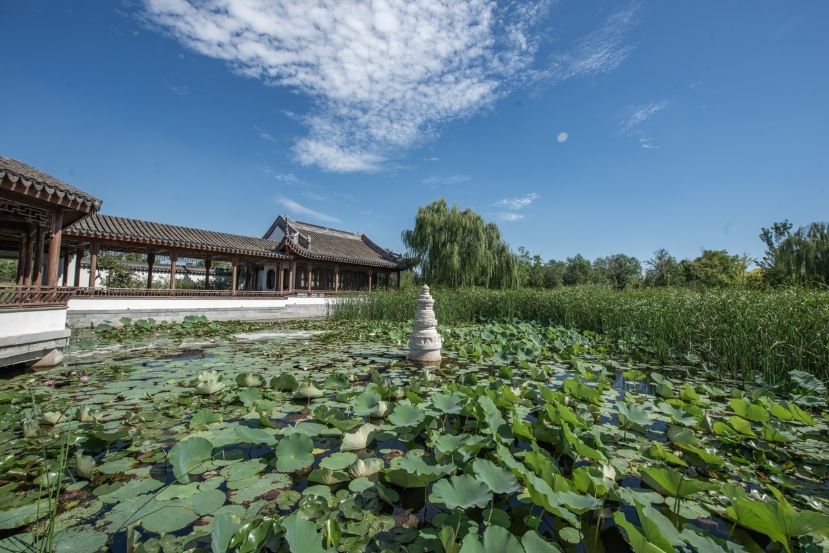 秋日水西公园掠影