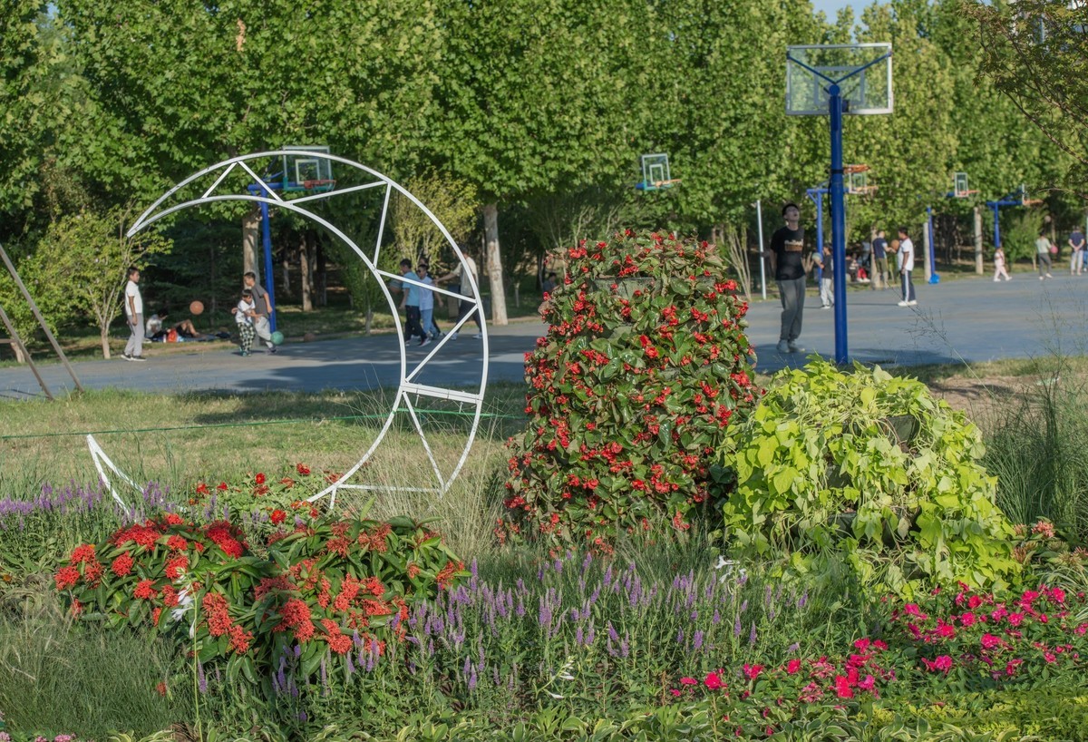 秋日水西公园掠影