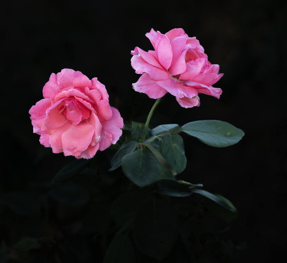 秋日水西公园掠影