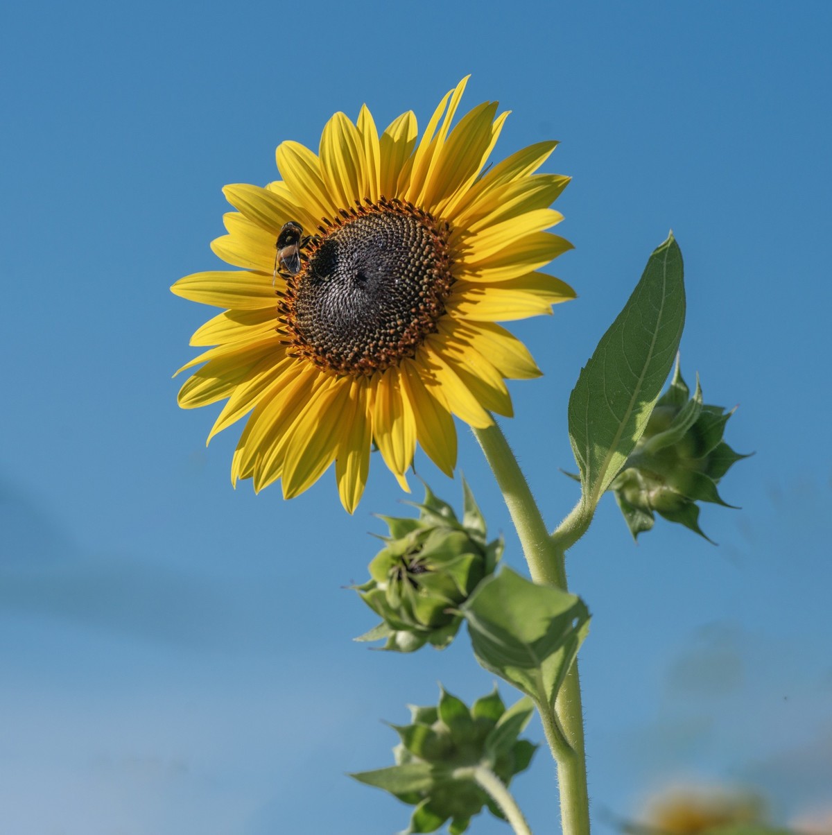 秋日水西公园掠影