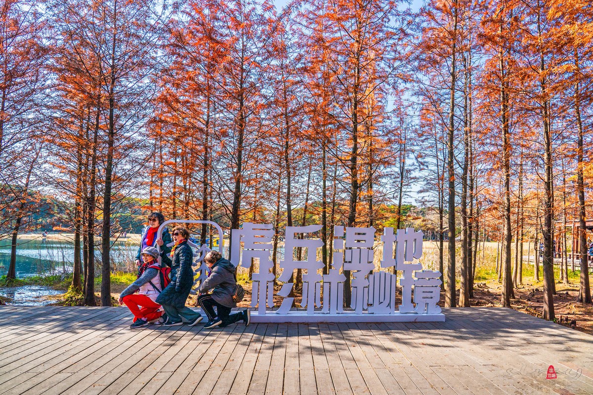 虎丘湿地公园随拍（一）