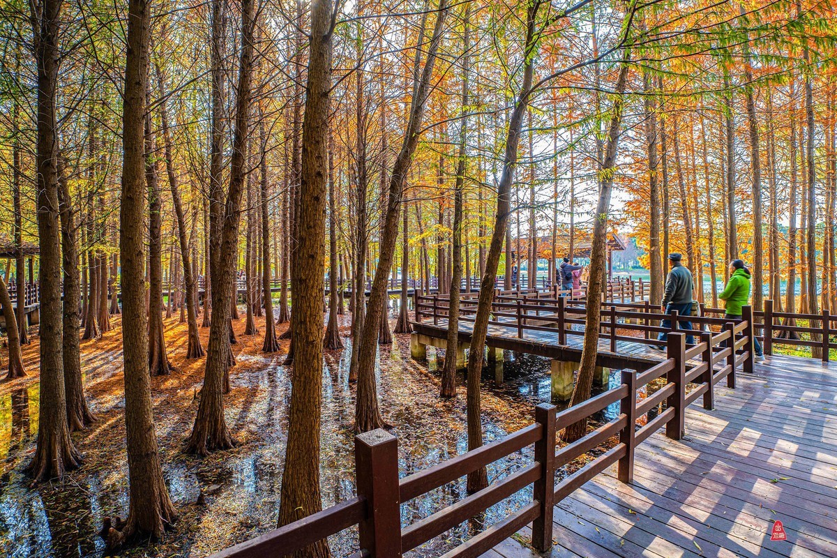 虎丘湿地公园随拍（一）