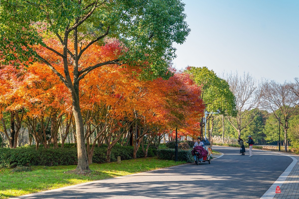 虎丘湿地公园随拍（一）